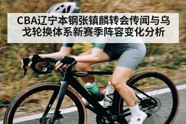 CBA辽宁本钢张镇麟转会传闻与乌戈轮换体系新赛季阵容变化分析