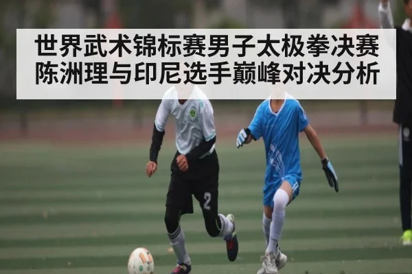 世界武术锦标赛男子太极拳决赛陈洲理与印尼选手巅峰对决分析